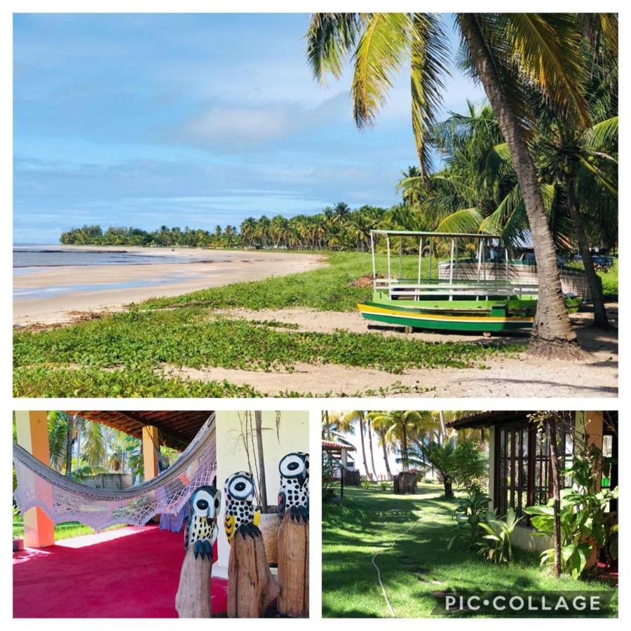 Homestay Algaroba *
