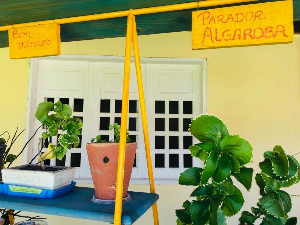 Homestay Algaroba *