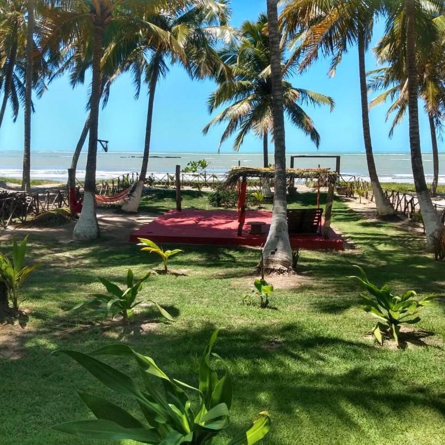 Algaroba * Japaratinga