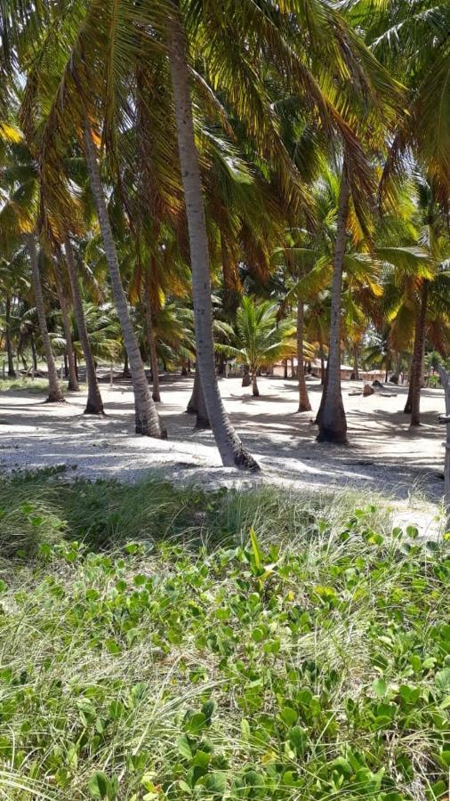 Homestay Algaroba