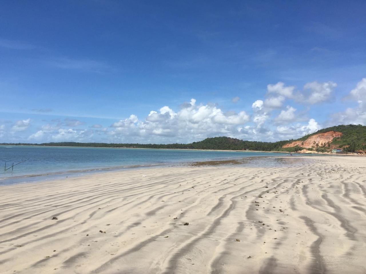 Algaroba
