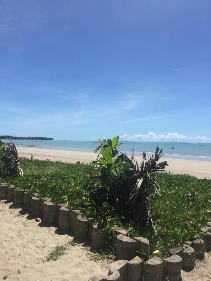 Algaroba