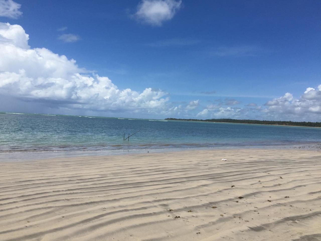 Algaroba Japaratinga